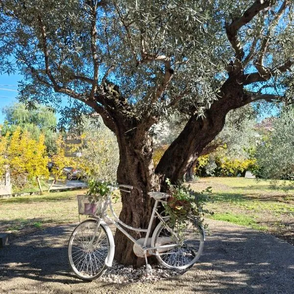 COLLINA FIORITA, hotel i Tollo