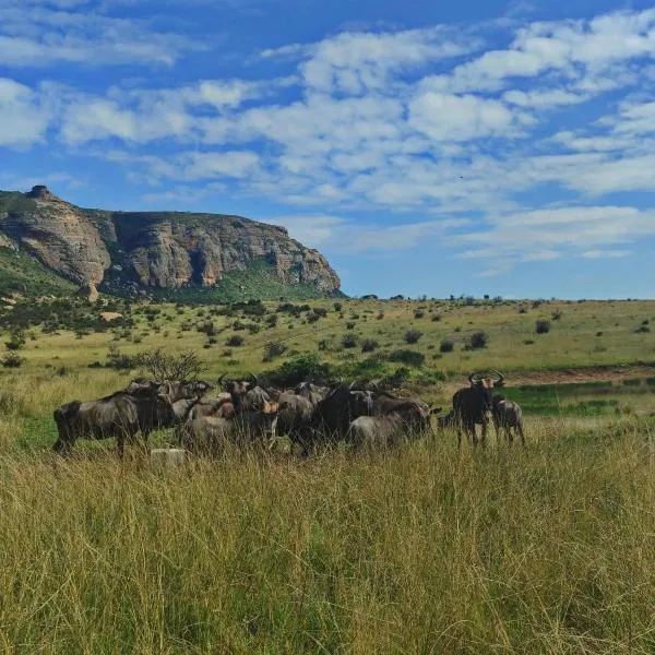 Mount Everest Guest Farm, hotel sa Harrismith