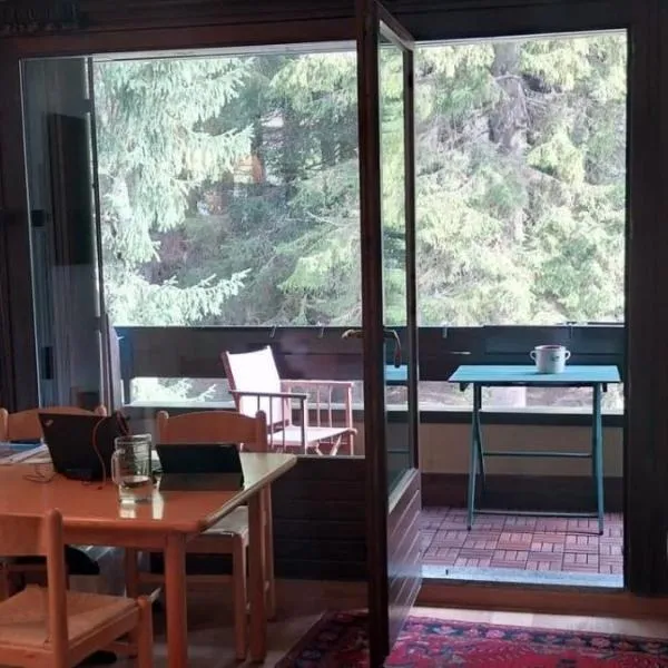 Due Volpi nel Bosco, hôtel à Madonna di Campiglio