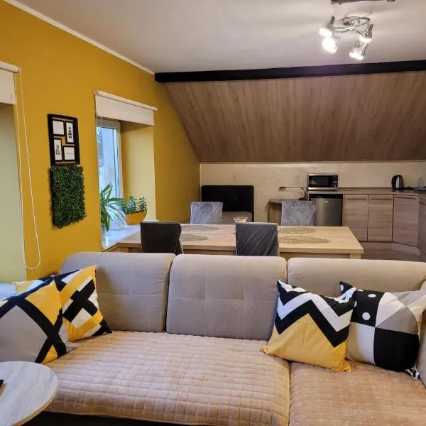 호이니체에 위치한 호텔 Malinowa 36 Apartamenty