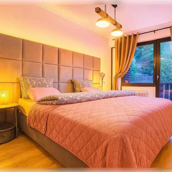 21 Gramm Das Verborgene mit Tiefgarage, Hotel in Sasbachwalden