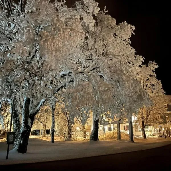 奧塔滕堡酒店，溫特貝格的飯店