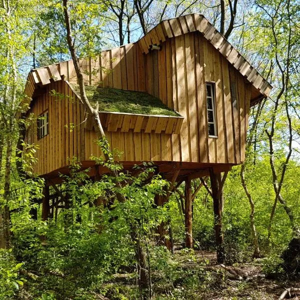 Boomhut XXL, hotel en Hoogersmilde
