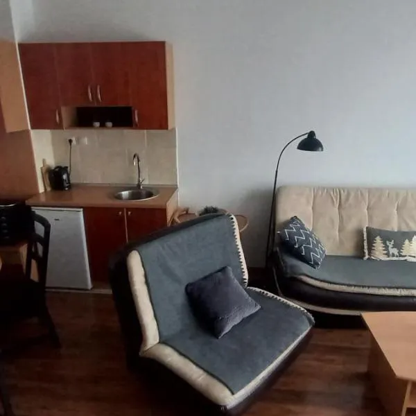 Divčibare Snežna Kraljica ap 13, hotel in Divčibare