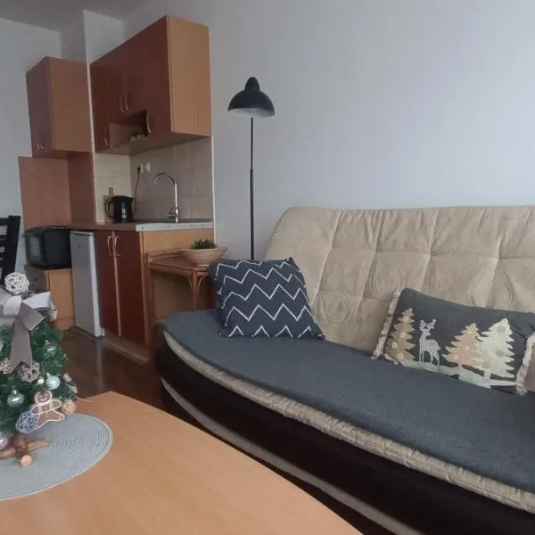 Divčibare Snežna Kraljica ap 13, hotel din Divčibare