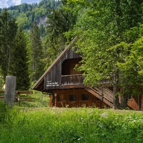 Campeggio Treinke Sauris, hotel a Sauris