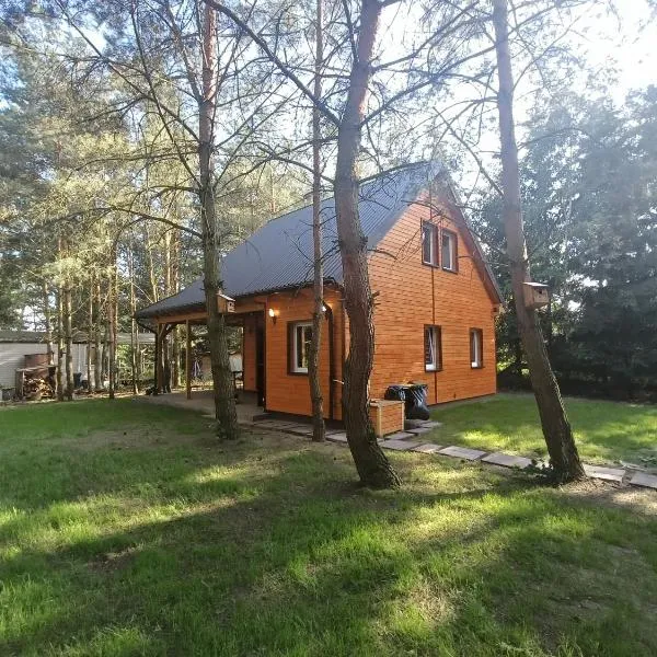 Domek nad jeziorem Wilczyńskim, hotel u gradu Świętne