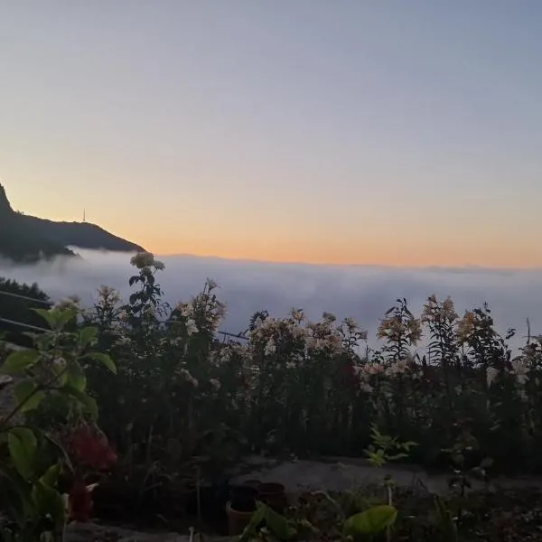 Apartament on the edge of the Teide National Park, hotel in Los Realejos