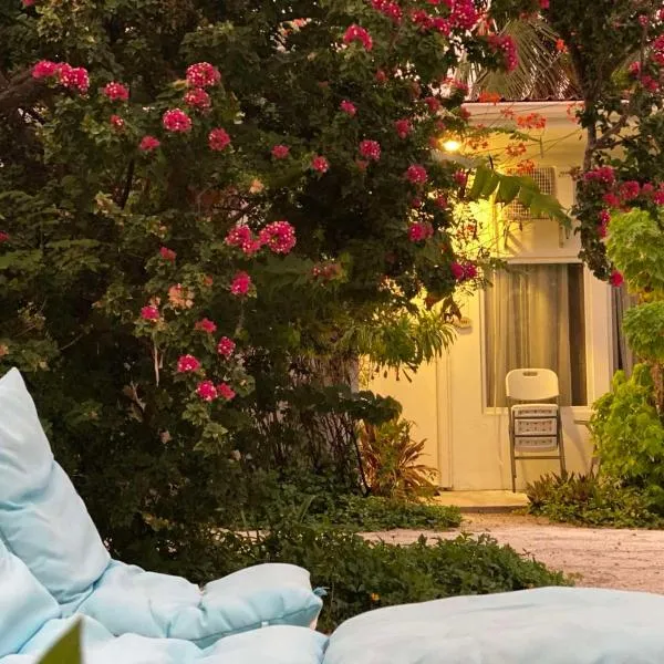 Coral Castle - Goidhoo Maldives, hotel v destinaci Baa Atoll