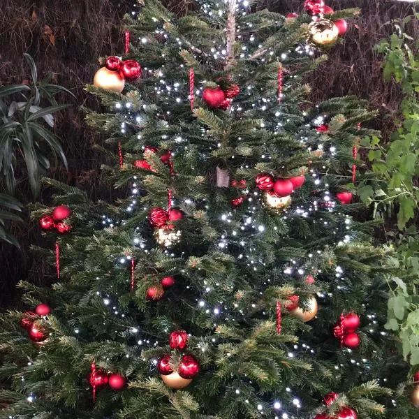 Le Petit Bois、サント・マリー・ド・レのホテル