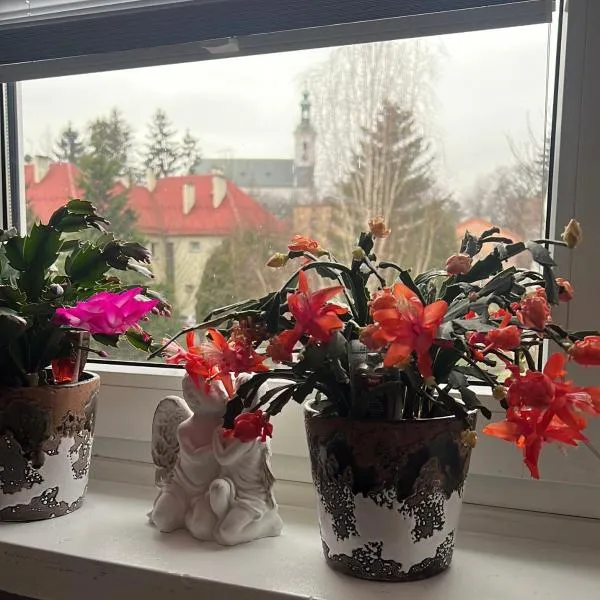 Apartament na Chrobrego – hotel w mieście Cieszyn