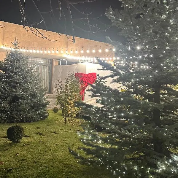 Luxury villa with Pool and Jacuzzi, hotel v Jerevanu