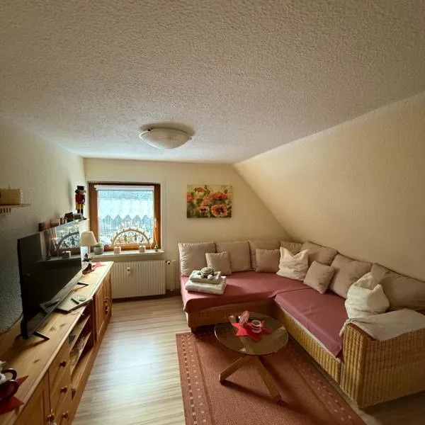 Ferienwohnung Hänel, ξενοδοχείο σε Antonshöhe