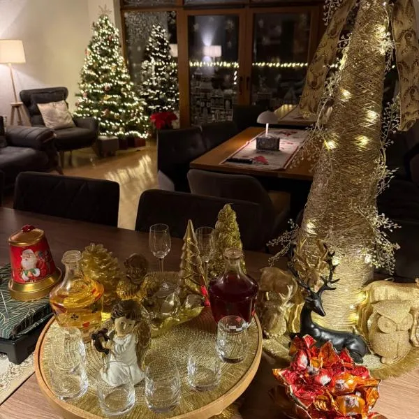 Silvan Villa - Apart, ξενοδοχείο στη Σιγκισοάρα