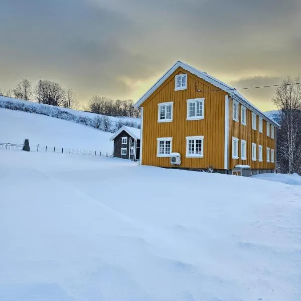 Familie og gruppevennlig hus 12 senger 240kvm, hotel in Oppdal