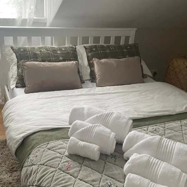 Anyas rooms Ltd, hotel in Antrim