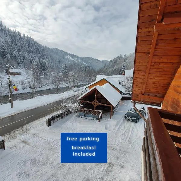 Pensiunea Piatra Mandrutului, hotel in Scărişoara