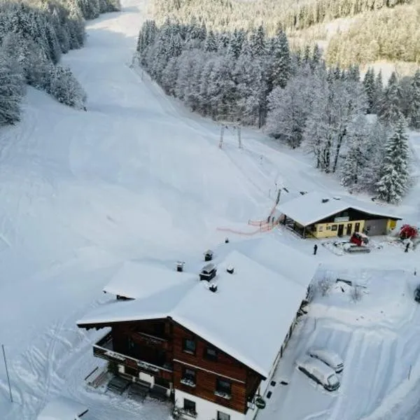Natursport Heutal Appartements Ski-in & Ski-out, ξενοδοχείο σε Unken