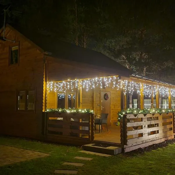 Dom wypoczynkowy Jelonek, hotel in Swolszewice Duże