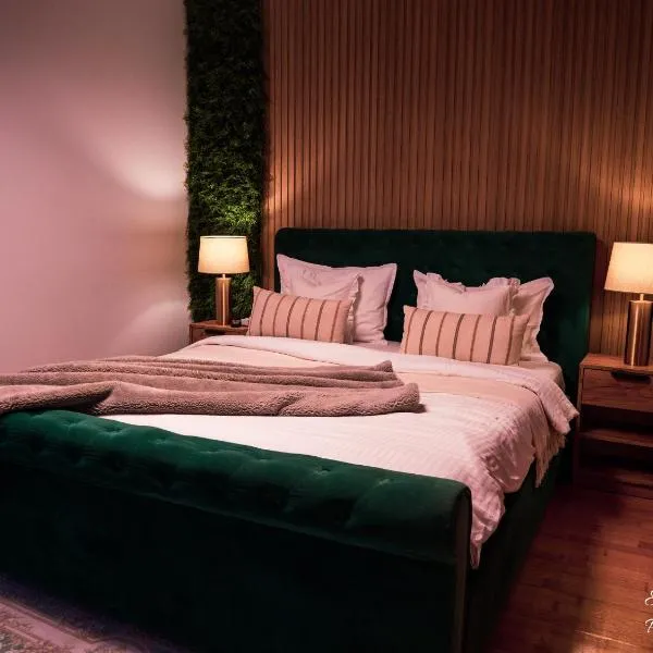 Penthouse Aeroport Iasi, hotel in Iaşi