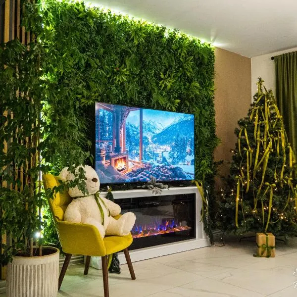 Penthouse View Aeroport Iasi，位于雅西的酒店