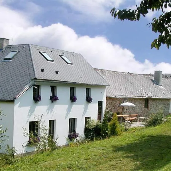 Penzion Javořice, отель в городе Тельч