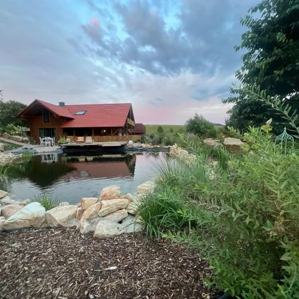 Blockbohlen HolzHaus mit Sauna, Outdoor Jacuzzi und BadeTeich, hotel en Gersfeld