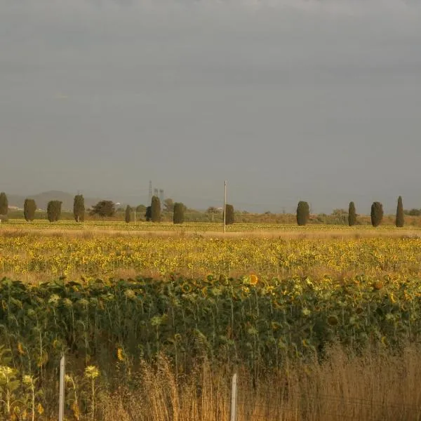Villetta di Campagna, hotel v destinácii Venturina Terme