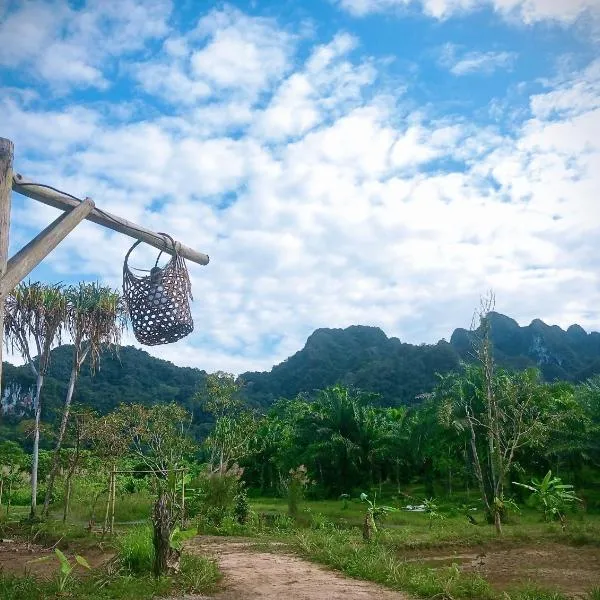 Khaosok Eco House, hotel in Khao Sok National Park