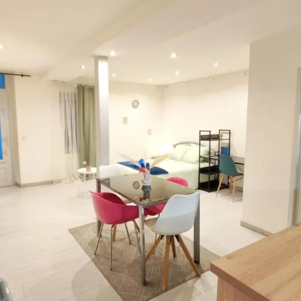 Cosy Camélia - T1 - Hypercentre avec Patio, ξενοδοχείο σε Pau