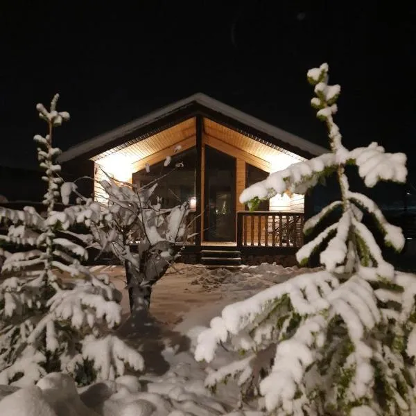 Holiday Home Near FOREST, ξενοδοχείο σε Skhidnitsa