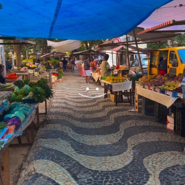Peixotinho - Foto 5