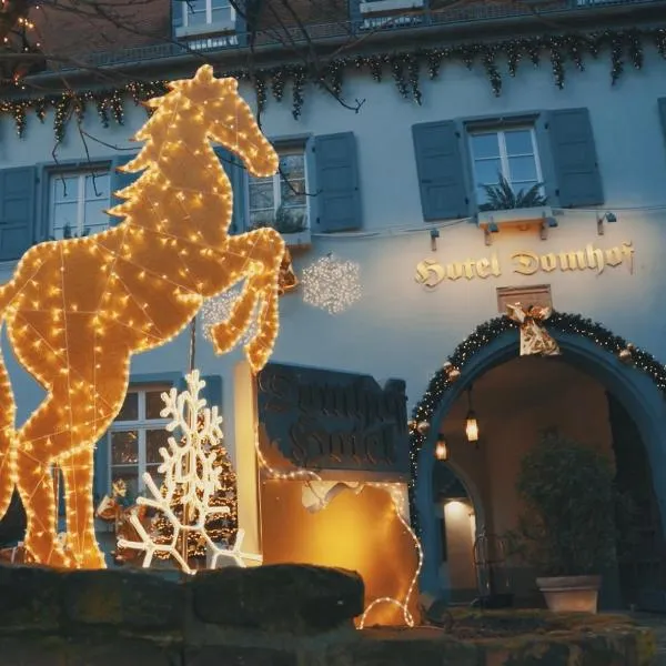 Hotel Domhof, hotel v destinaci Špýr