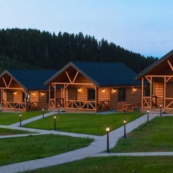 Domki Sudecka Przystań，位于杜什尼基-兹德鲁伊的酒店