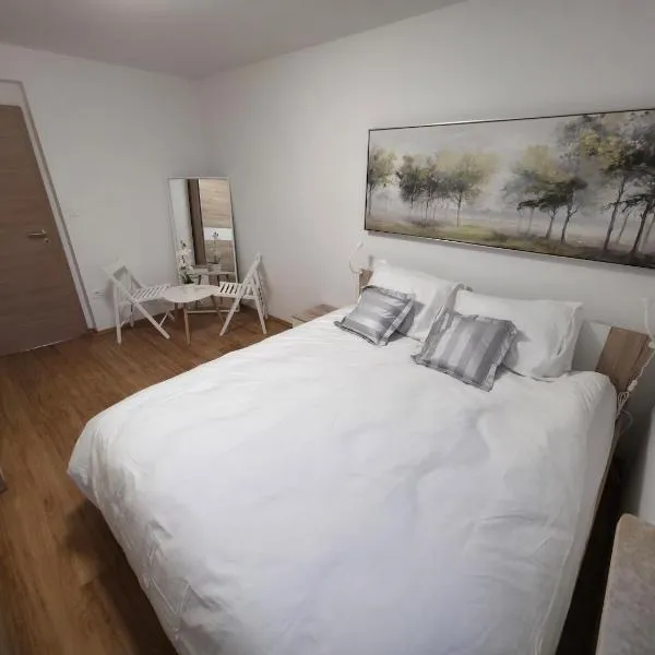 Guesthouse Flower，位于卢布尔雅那的酒店