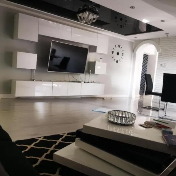 Apartament przestronny wysoki standard, Hotel in Ruda Śląska