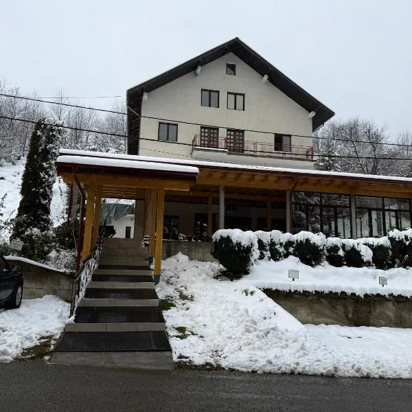 Apartments and Rooms Vicko，位于布尔泽策的酒店