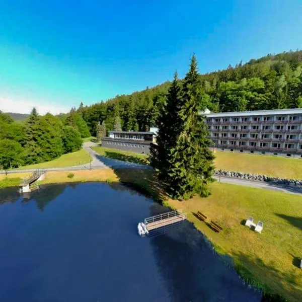 Hotel Schwarzbachtal Hideaway，位于Erlbach的酒店