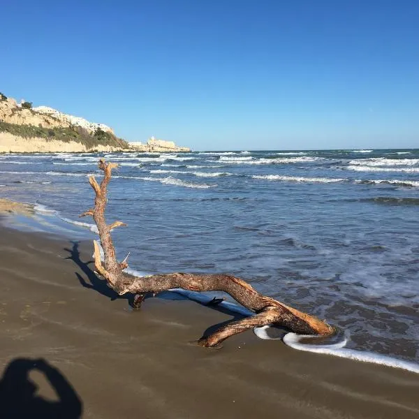 Medieval terraced house in Vieste Vecchia, hotel in Vieste