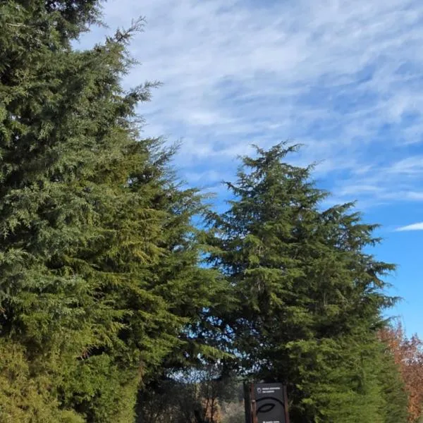 Quinta Rural - Nossa Sra do Carmo. Teixoso, hotell i Teixoso