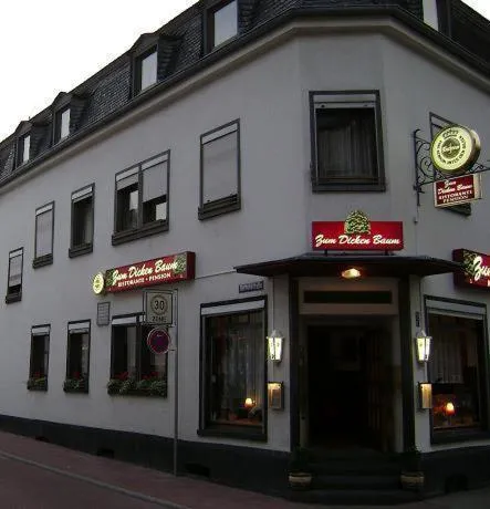 Hotel zum dicken Baum, hotel di Mayen