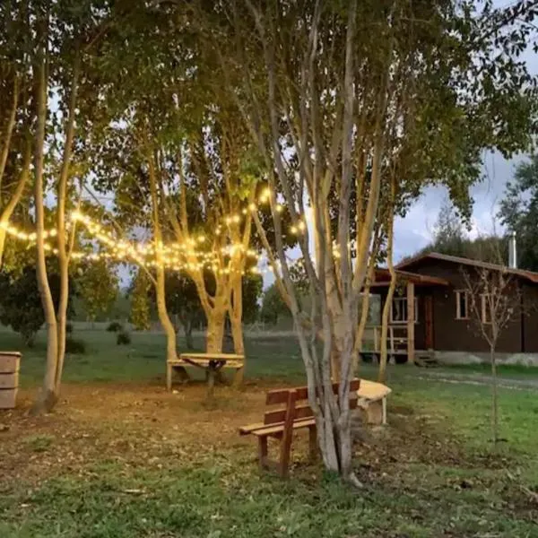 Cabaña La magia del Sur, отель в городе Вильяррика