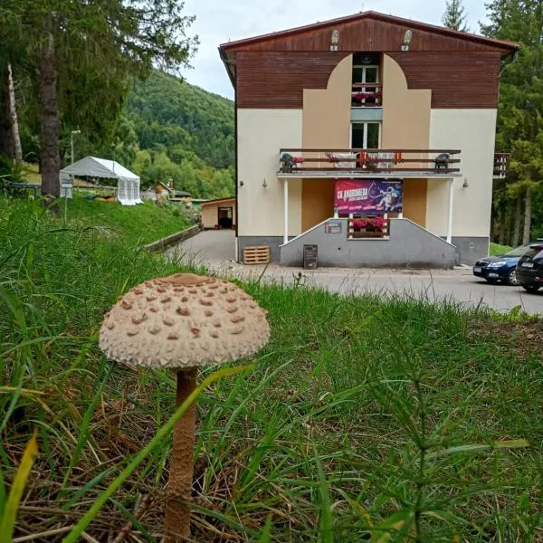 Horský Hotel Magura, hôtel à Chvojnica
