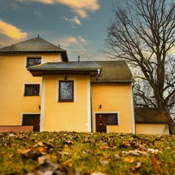 Penzión Pri Kaštieli Záturčie, hotell Martinis