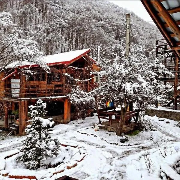 Raiul de pe Rau, хотел в Мороени