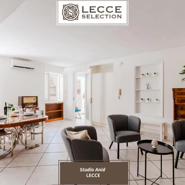 Studio Anid Apartment - Lecce Selection，萊切的飯店