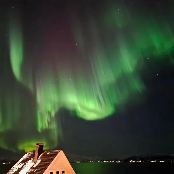 Nordic Sauna Retreat, viešbutis Trumsėje
