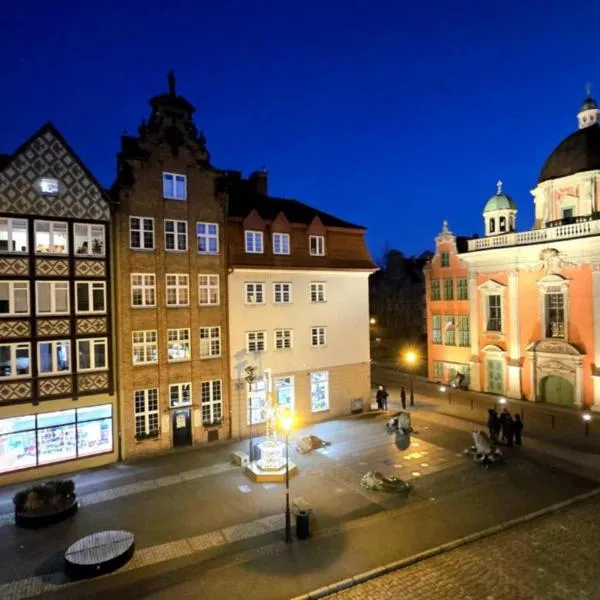 4 Lions Guest House, hotel in Gdańsk