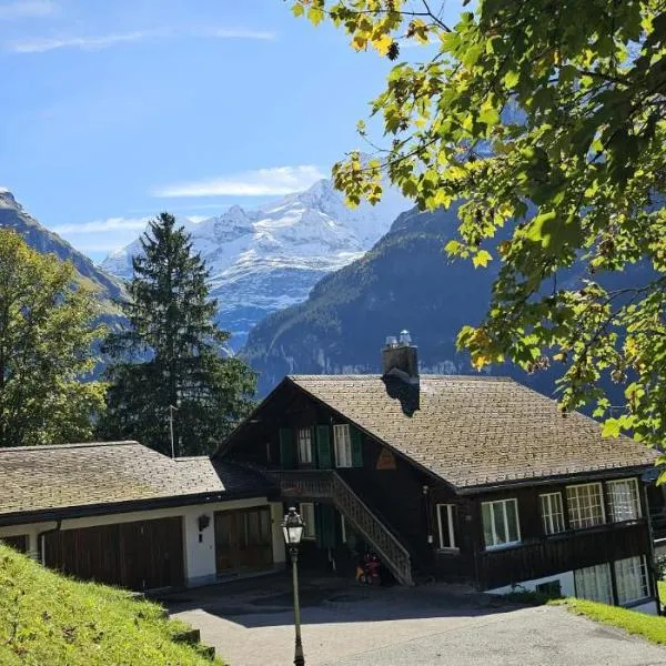 Chalet Weid - Aare Jungfrau AG โรงแรมในกรินเดลวัลด์