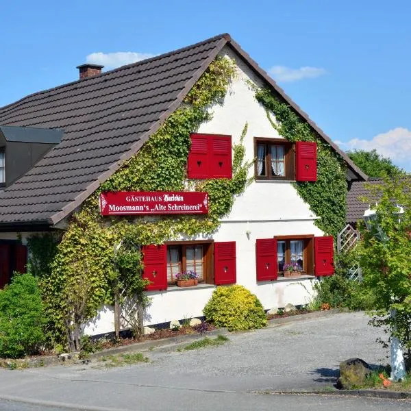 Alte Schreinerei-Auberge Harlekin, hotel in Singen